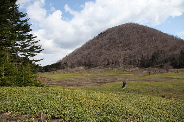 中島の山