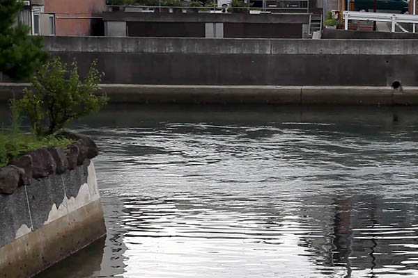 ゆっくりと水が流れ始めた海峡