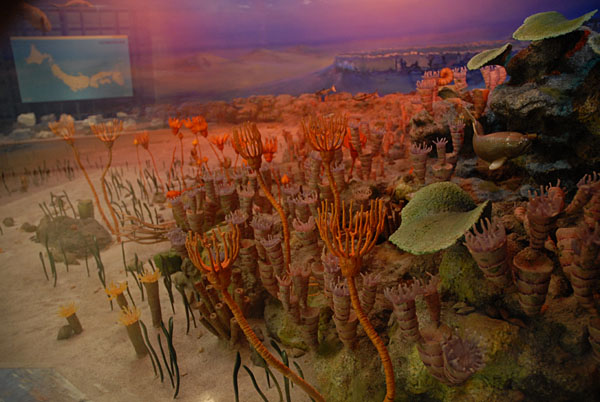 古代の海の再現展示−光の雰囲気が刻々と変わる