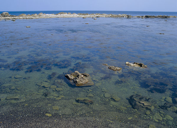 浅瀬の内海