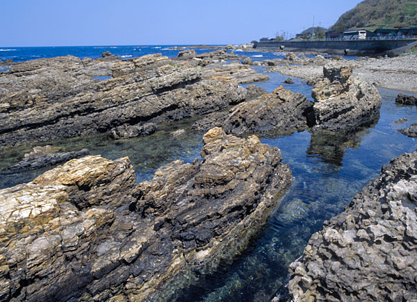 仁江海岸の頁岩層