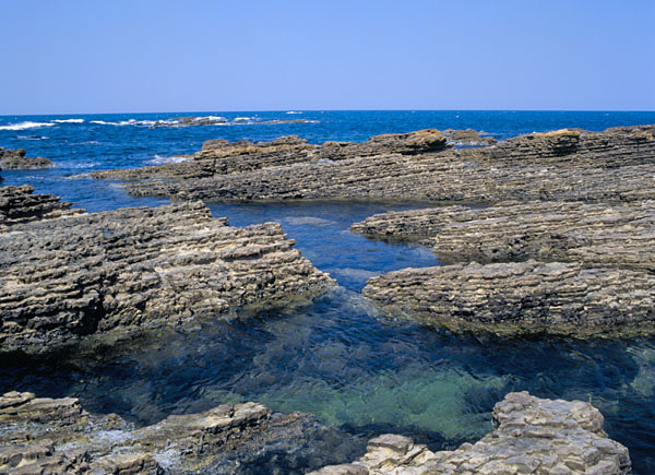 仁江海岸の頁岩層