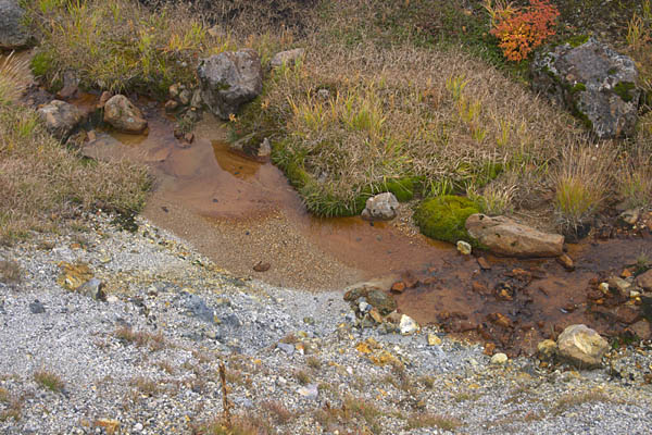 濁川の茶褐色の小石