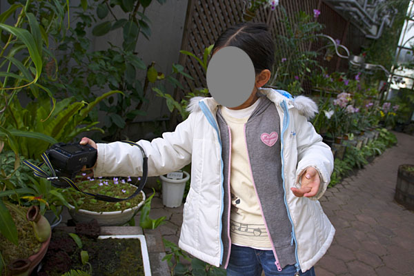 *ist DSを構える豚児