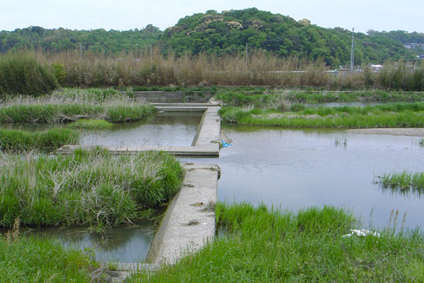 当時そのままの風景が広がる2007年の今川の堰