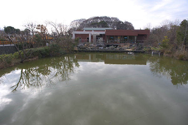 水元かわせみの里