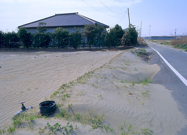 まるで砂漠化しているかのよう