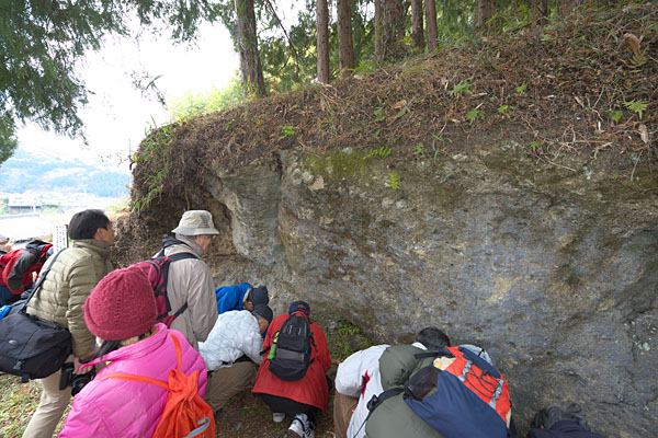 化石が産出する地層