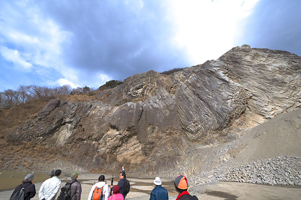 白鳥山採石場の大スケール柱状節理