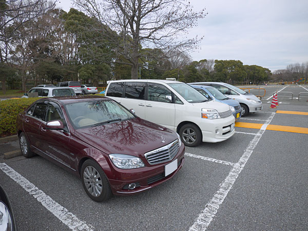 マイクロフォーサーズ10mm