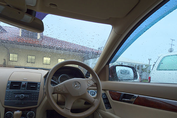 朝から本降りの雨