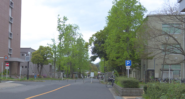 大学のメインストリート