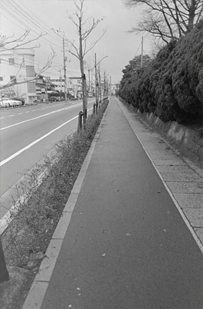 大学前の通り