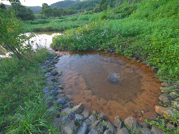 温泉の湧き出し