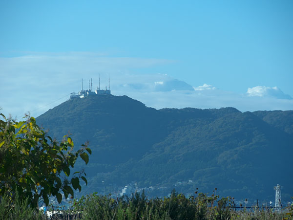 遠景の函館山