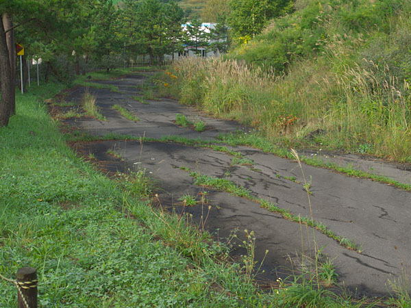 かつては立派だった道路