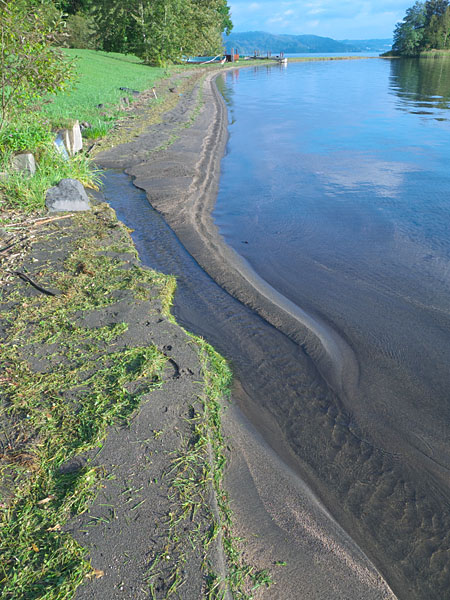 小川の河口