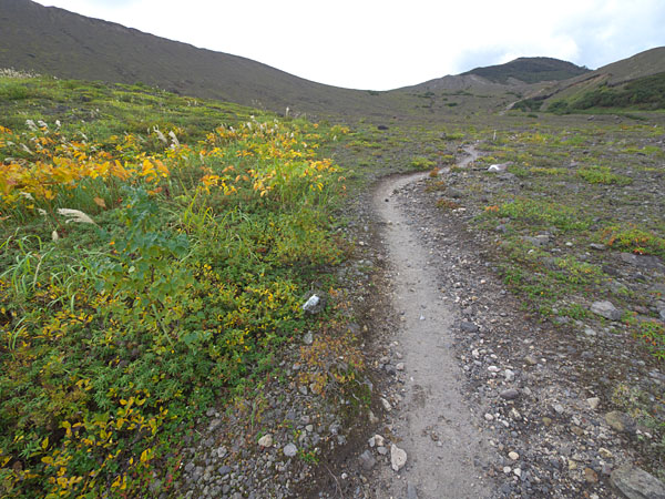 回り込む登山道