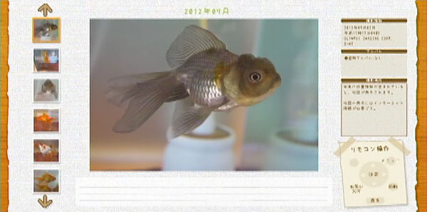 画面:写真の選択