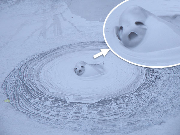 宇宙人の顔・・・お分かり頂けただろうか