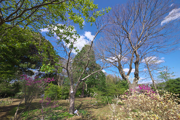12mmで撮った風景