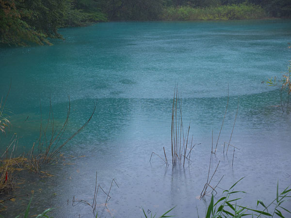 雨の五色沼