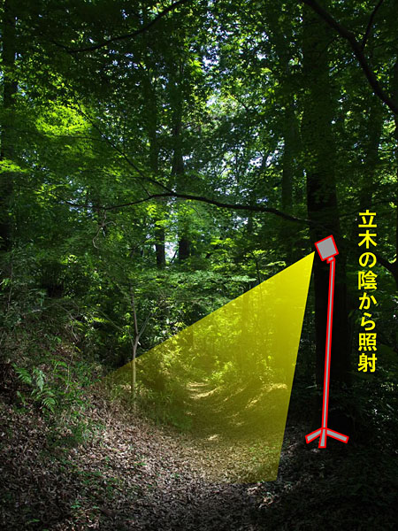 ライティングの状況