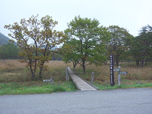 懐かしい「ゆうすげの道」