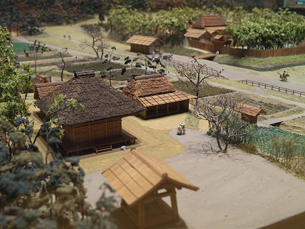 博物館展示 (ティルトさせず)