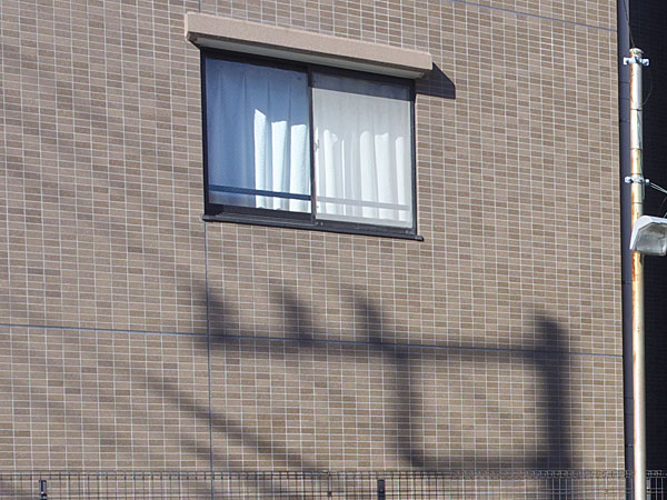 木の枝や電線は地面から離れるほど影がボケる