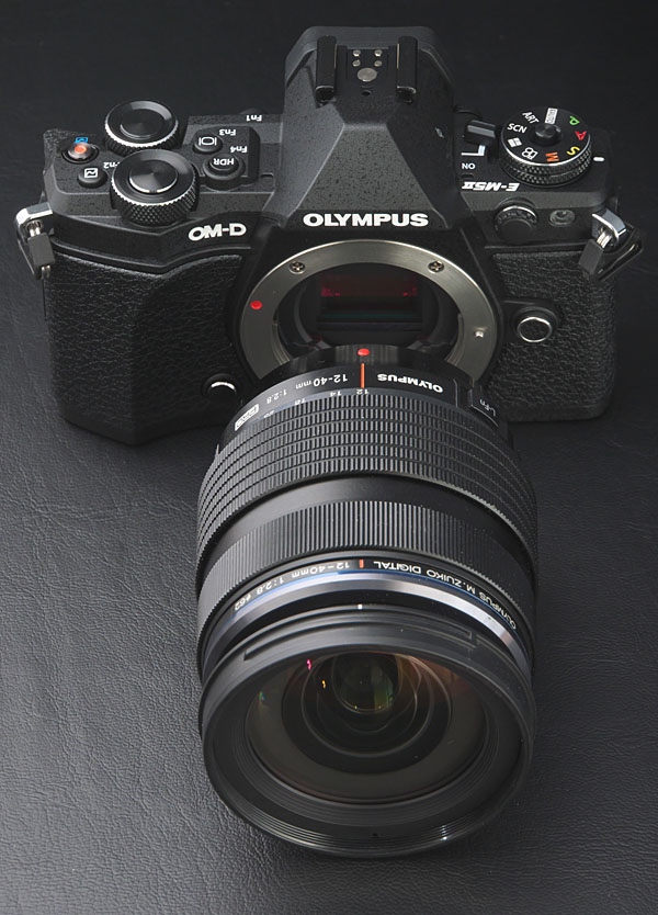 「Canon AE-1P」のカタログのオマージュ
