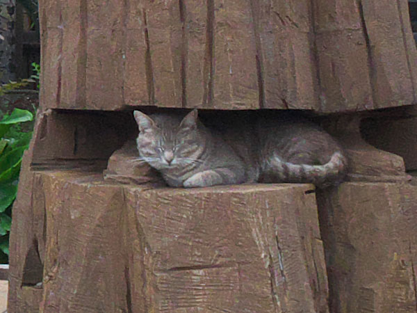 坂本竜馬ゆかりの寺