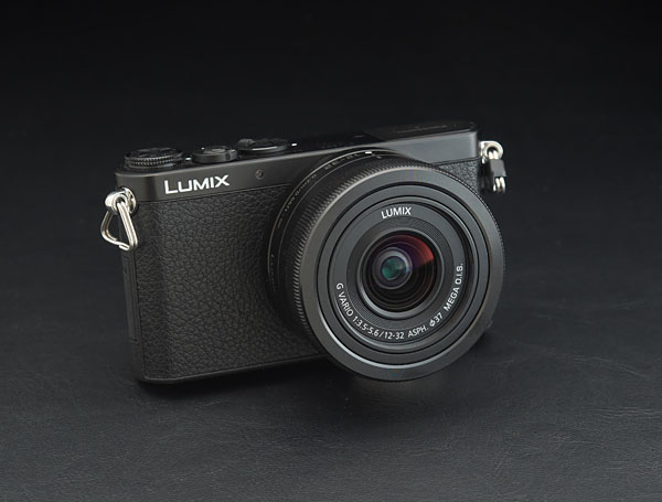 wPanasonic DMC-GM1