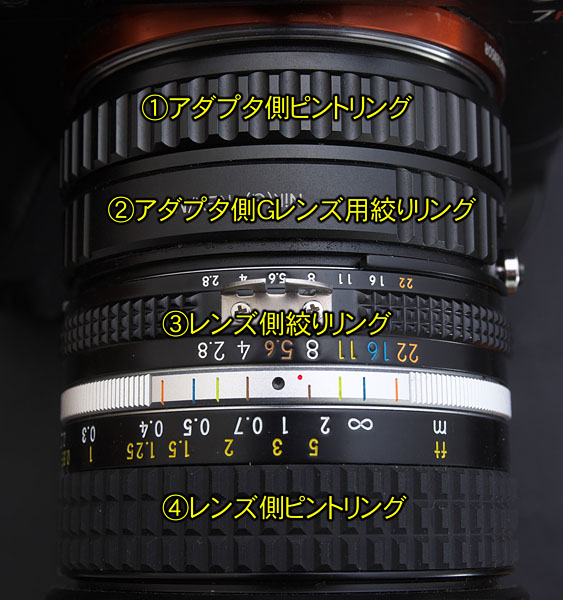 リングが多過ぎる